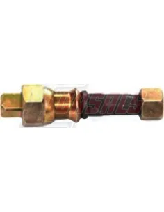 CASALS21549