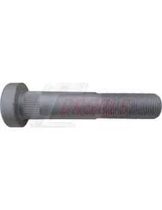 CASALS21566