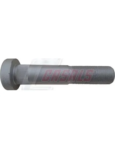 CASALS21566