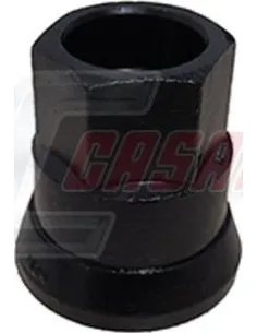 CASALS21567