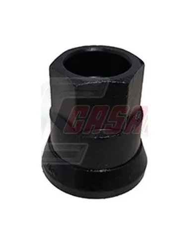 CASALS21567