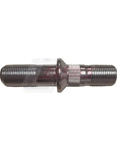 CASALS21568