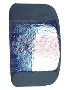 CASALS21574