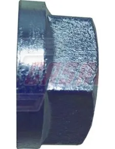 CASALS21575