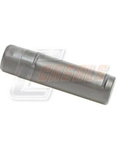 CASALS2256
