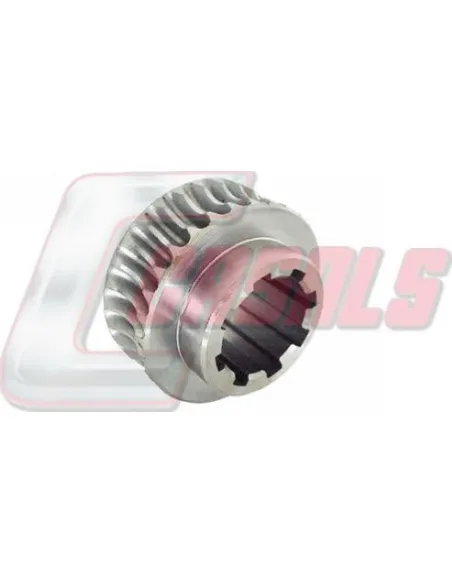 CASALS2342