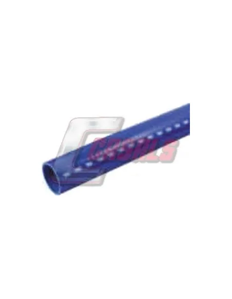 CASALS33118