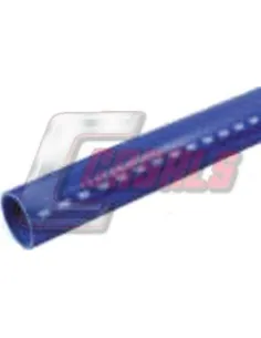 CASALS33119
