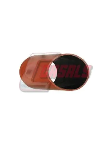 CASALS33219