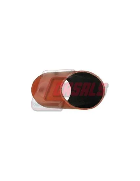 CASALS33219