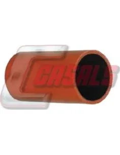CASALS33221