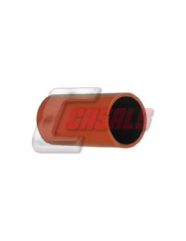 CASALS33221