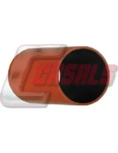 CASALS33229