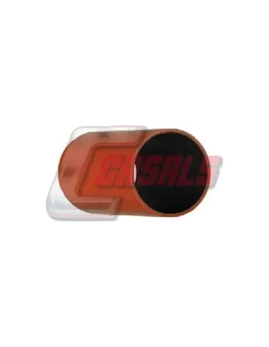 CASALS33229