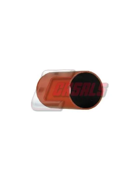 CASALS33229