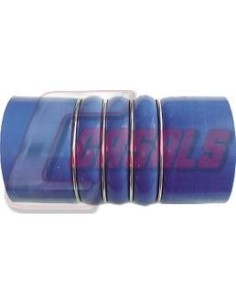 CASALS33240