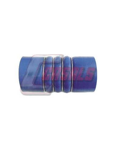CASALS33240
