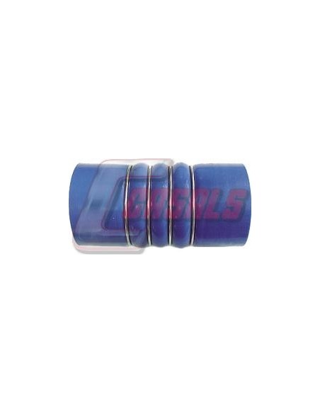 CASALS33240