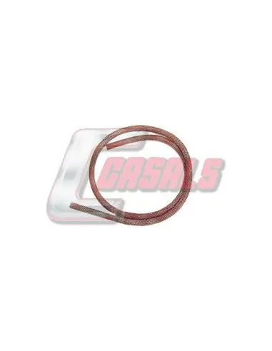 CASALS33247