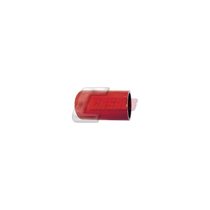 CASALS33248
