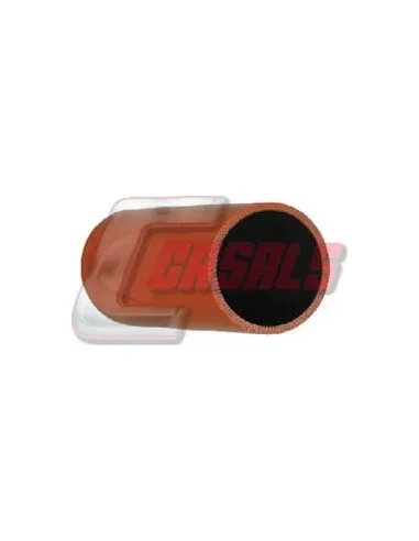 CASALS33249