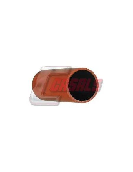 CASALS33249