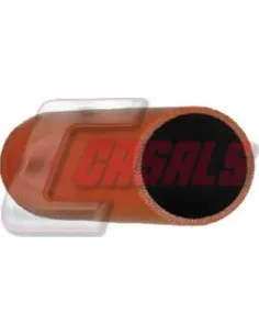 CASALS33254
