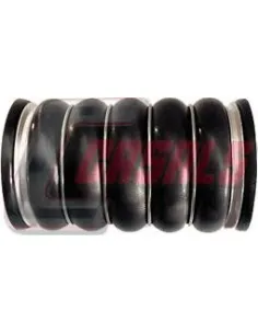 CASALS33269