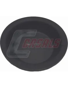 CASALS4231