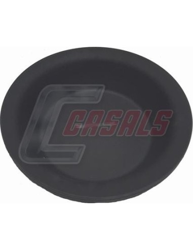 CASALS4236-1