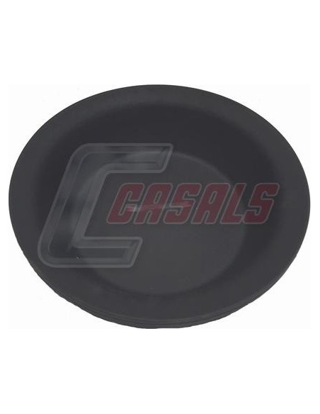 CASALS4236-1