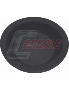 CASALS4238