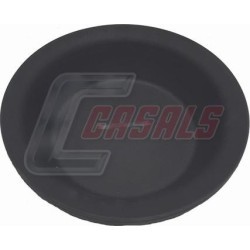 CASALS4241-1
