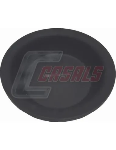 CASALS4243