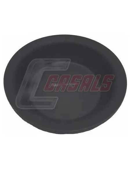 CASALS4243