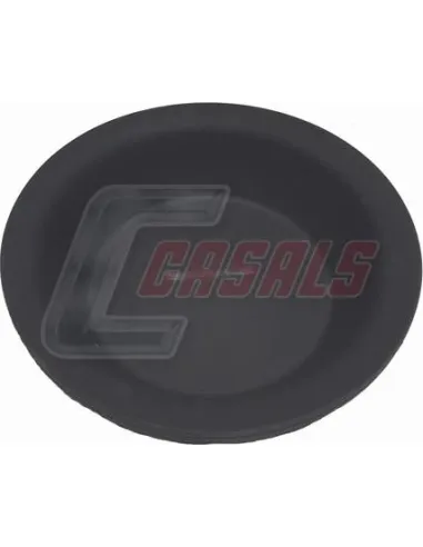 CASALS4243-1