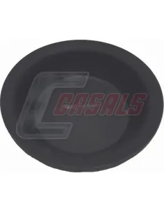 CASALS4244-1