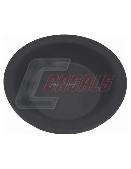 CASALS4244-1