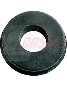 CASALS4562