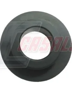 CASALS4563