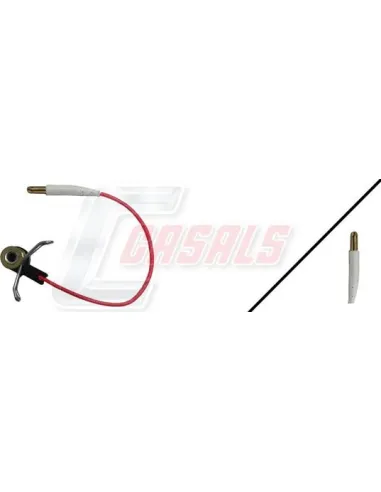 CASALS50020
