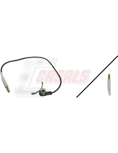 CASALS50021
