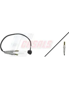 CASALS50024