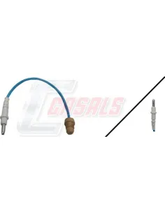 CASALS50025
