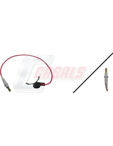 CASALS50028