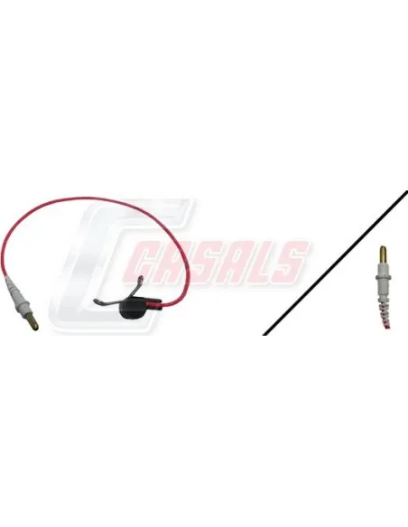 CASALS50028