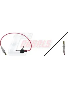 CASALS50029