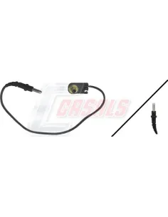 CASALS50036