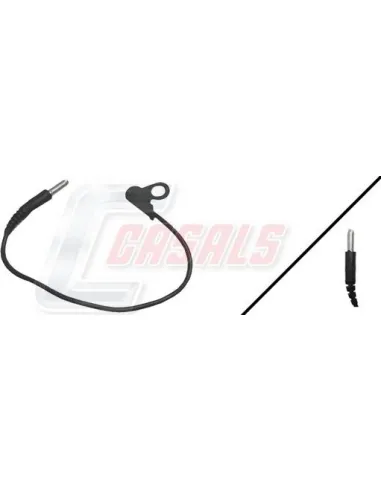 CASALS50038