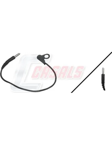 CASALS50038